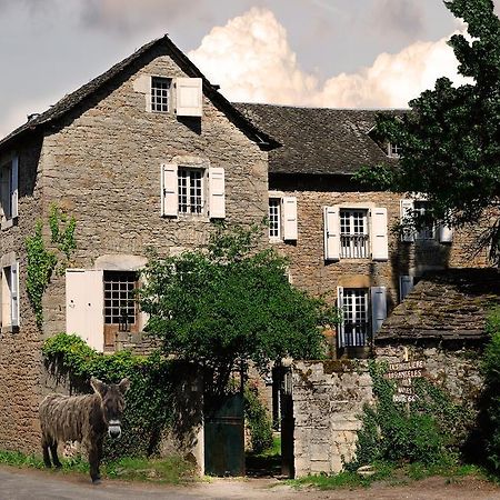 Maison D'Hotes La Singuliere Severac-d'Aveyron Ngoại thất bức ảnh